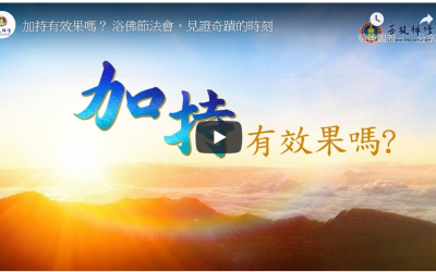 「金菩提」加持-《加持有效果嗎》簡介|金菩提法會|金菩提評價