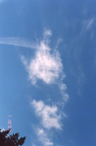 金菩提-觀世音菩薩