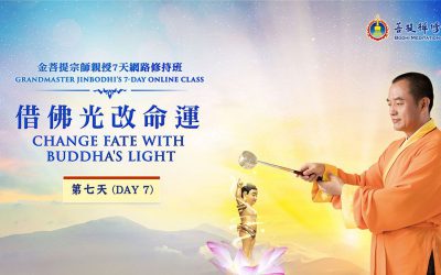「金菩提」宗師《借佛光 改命運》|金菩提網路念佛班第7天分享|金菩提評價分享